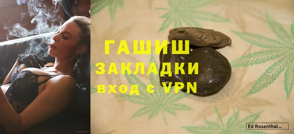 крисы Кулебаки