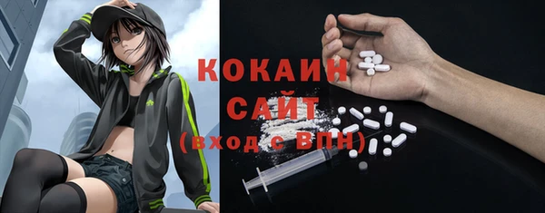 твердый Ладушкин