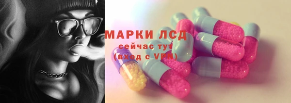 крисы Кулебаки