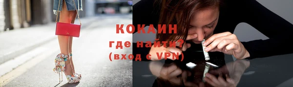 крисы Кулебаки