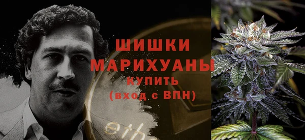 крисы Кулебаки