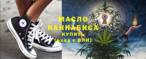 крисы Кулебаки