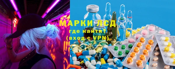 крисы Кулебаки